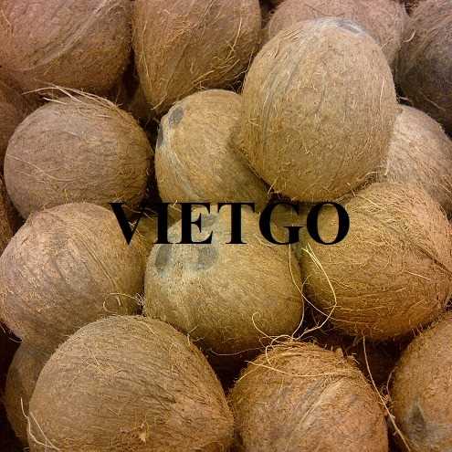 Cơ hội xuất khẩu sản phẩm dừa đến thị trường Ấn Độ