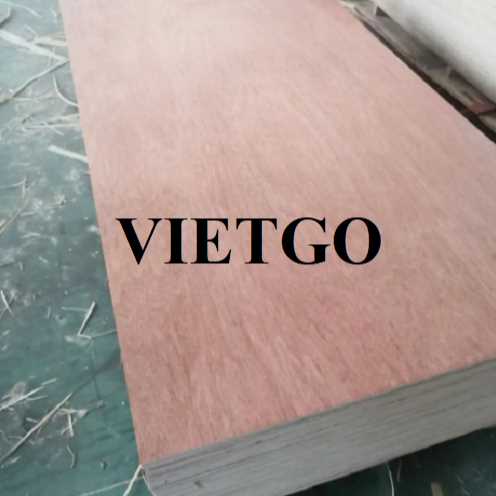 (CẬP NHẬT THÔNG TIN ĐƠN HÀNG) Thương vụ xuất khẩu gỗ dán sang thị trường Ấn Độ 