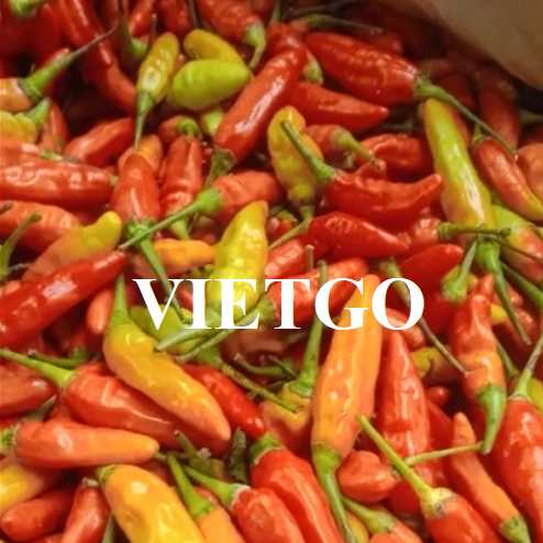 Cơ hội hợp tác xuất khẩu ớt tươi từ vị khách hàng đến từ Indonesia