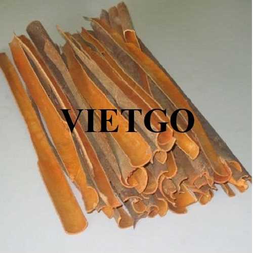 Thương vụ xuất khẩu quế sang thị trường Ấn Độ