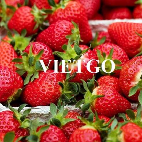 Cơ hội xuất khẩu dâu tây sang thị trường Ả Rập Xê Út