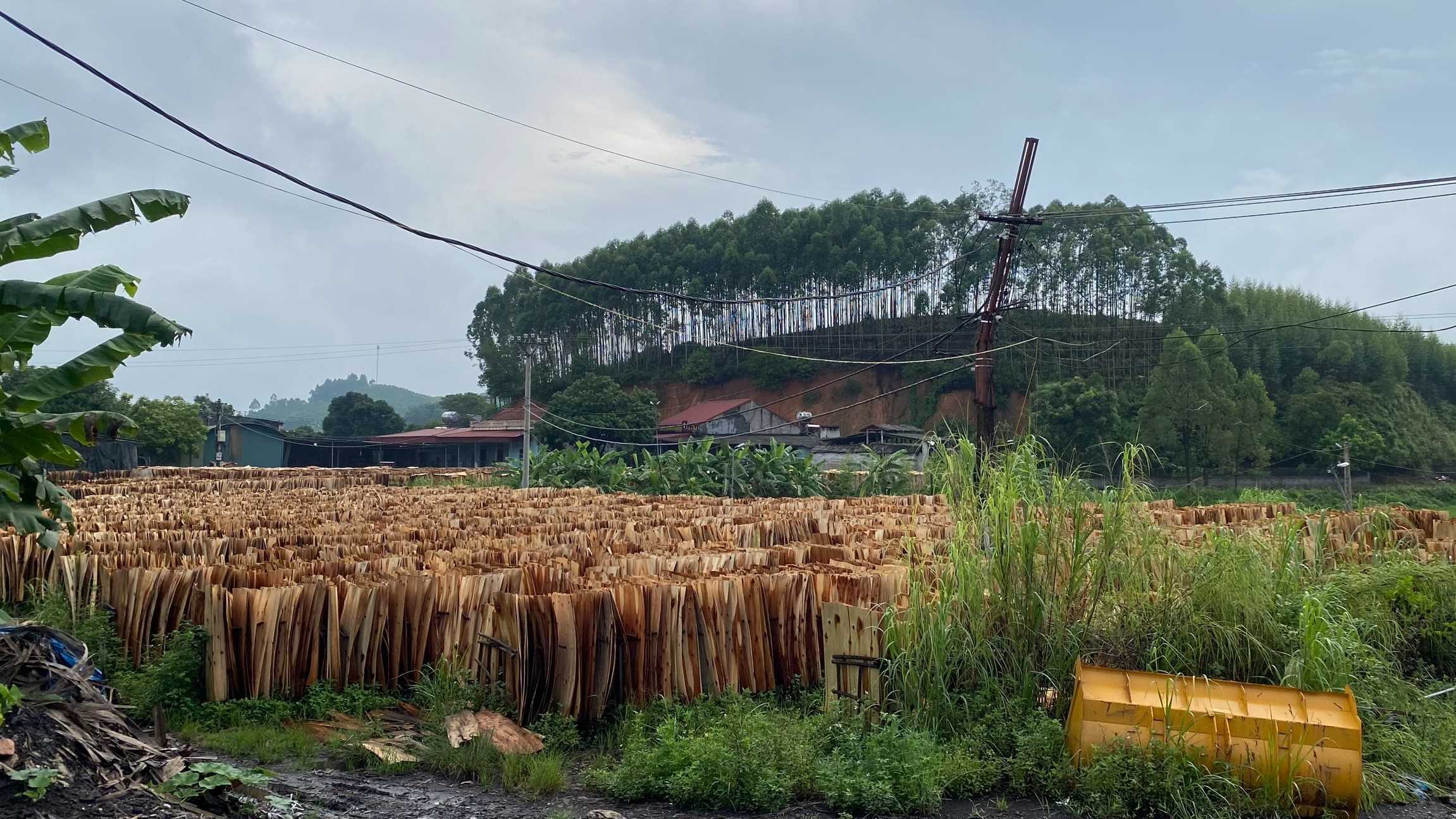 Công ty TNHH SY EXPAND cần tìm nhà vận tải biển sang Ấn Độ