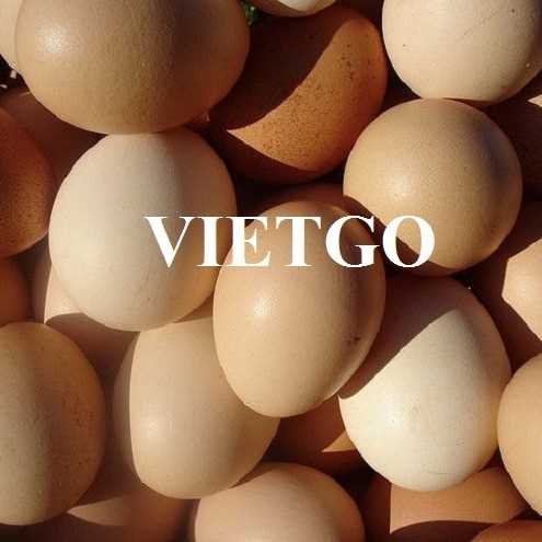 Thương vụ hợp tác xuất khẩu trứng gà đầy hấp dẫn sang thị trường Zambia