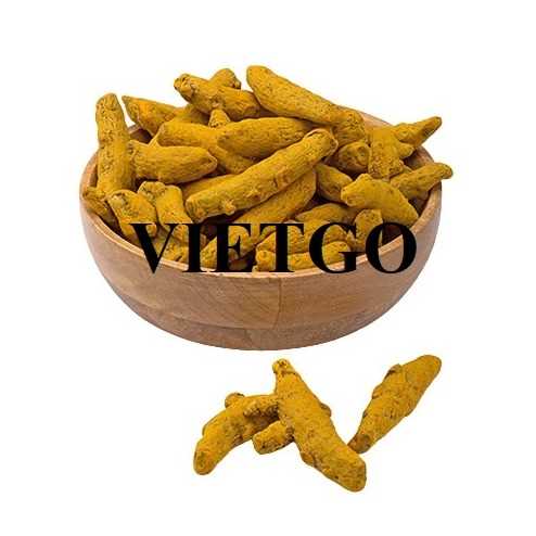 Cơ hội xuất khẩu nghệ khô sang thị trường Bangladesh