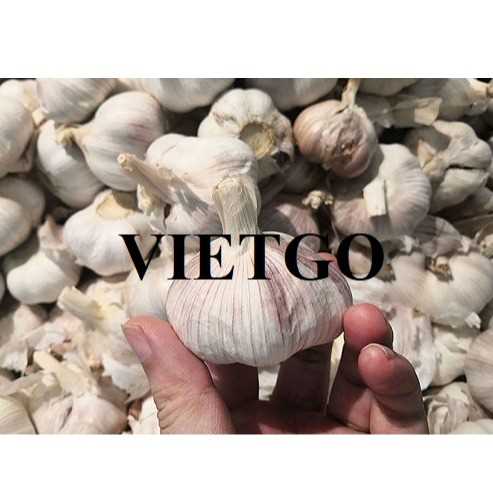 Cơ hội hợp tác xuất khẩu tỏi đến thị trường Malaysia