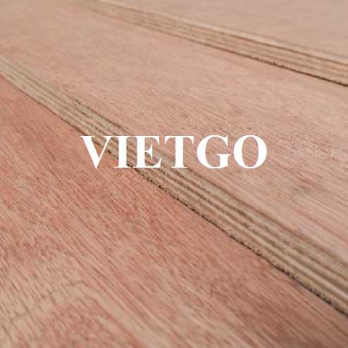 Thương vụ xuất khẩu gỗ dán sang thị trường Ấn Độ 