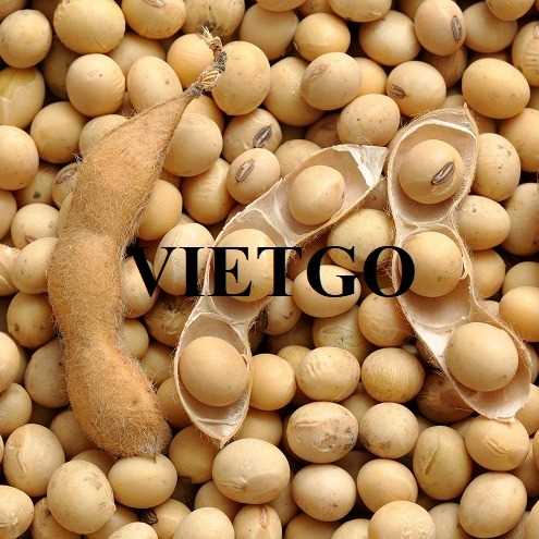 Thương vụ xuất khẩu đậu nành sang thị trường Thái Lan