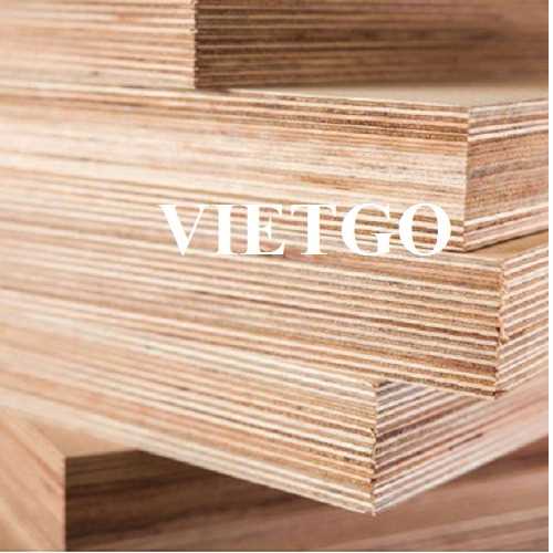 Thương vụ xuất khẩu gỗ dán sang thị trường Ấn Độ