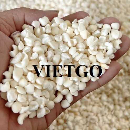 Cơ hội xuất khẩu ngô sang thị trường Trung Quốc