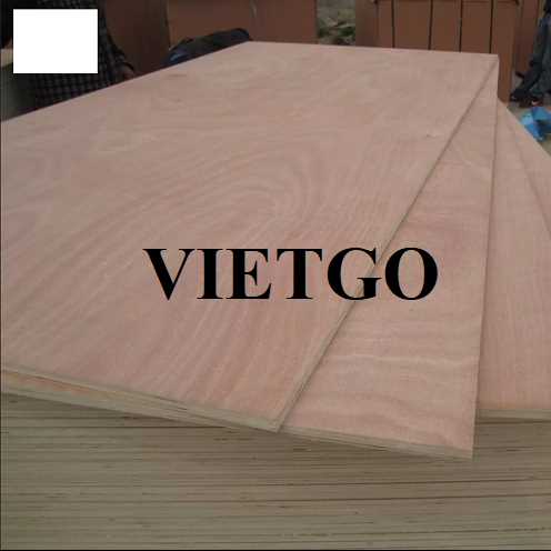 Thương vụ xuất khẩu gỗ dán sang thị trường Ấn Độ