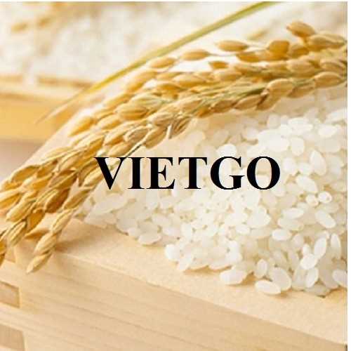 Cơ hội xuất khẩu gạo đầy hấp dẫn đến thị trường Mỹ