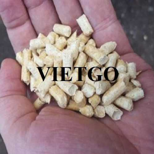 Cơ hội xuất khẩu viên nén mùn cưa sang thị trường Hồng Kông 