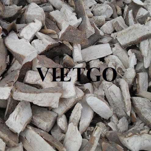 Thương vụ hợp tác xuất khẩu sắn lát khô sang thị trường Trung Quốc