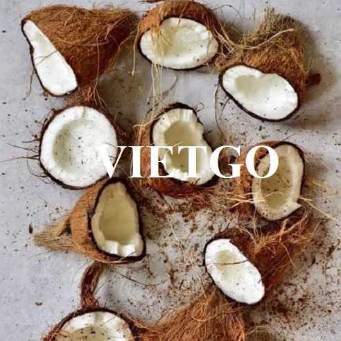 Cơ hội hợp tác xuất khẩu dừa sang thị trường Indonesia