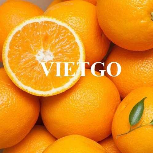 Cơ hội xuất khẩu cam đến thị trường Trung Quốc