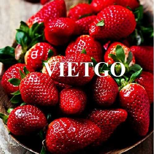 Thương vụ xuất khẩu dâu tây đầy hấp dẫn đến từ vị khách người Mexico
