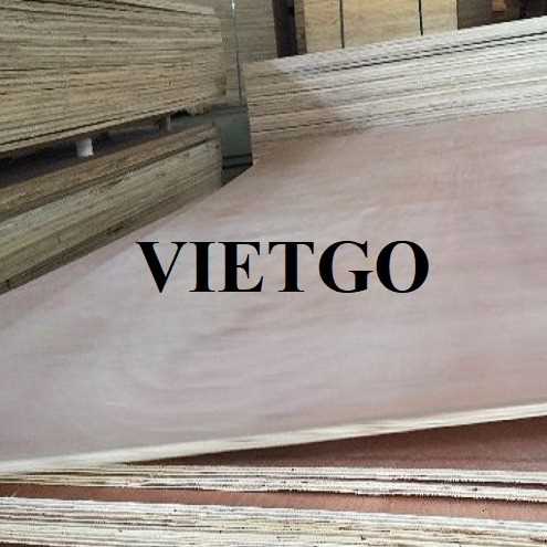 Thương vụ xuất khẩu gỗ dán đến thị trường Ấn Độ