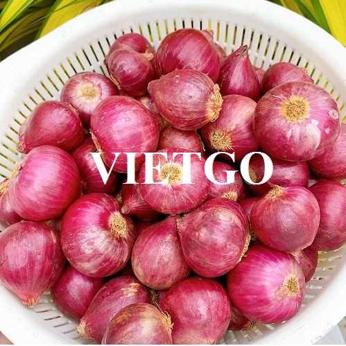 Cơ hội hợp tác xuất khẩu hành tím sang thị trường Ấn Độ