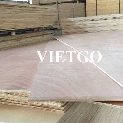 Cơ hội xuất khẩu sản phẩm gỗ dán thương mại đến thị trường Ấn Độ