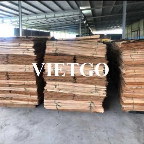 Thương vụ xuất khẩu ván bóc bạch đàn sang thị trường Ấn Độ