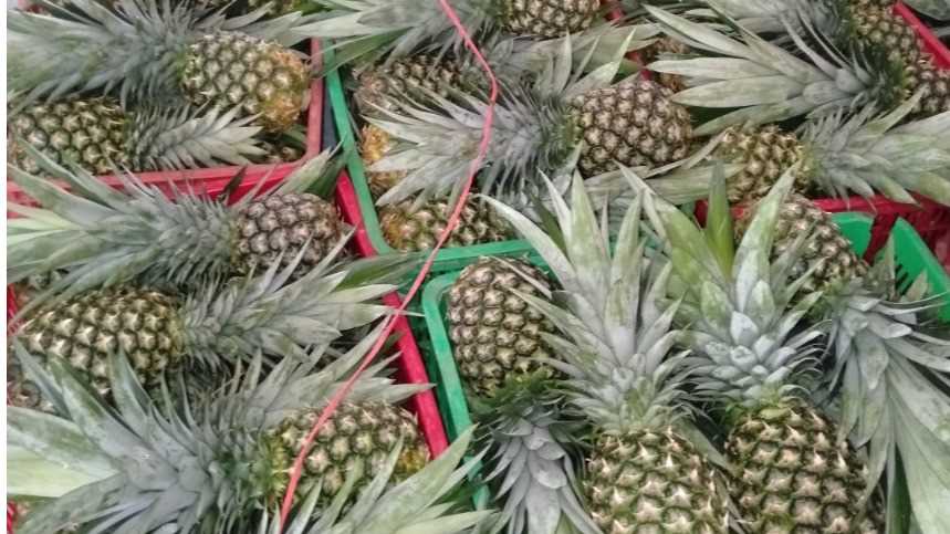 Nhà cung cấp Trương Thị Lan Anh cần tìm nhà vận tải hàng không sang Hà Lan và Ý