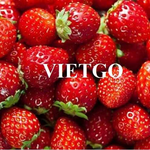 Cơ hội hợp tác xuất khẩu dâu tây sang thị trường Ả Rập Xê Út 