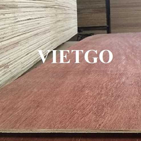 Thương vụ xuất khẩu gỗ dán đến thị trường Jamaica