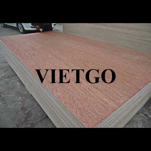 Cơ hội hợp tác với doanh nghiệp Ấn Độ cho đơn hàng xuất khẩu gỗ dán thương mại 