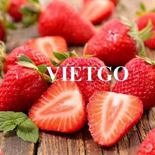 Cơ hội hợp tác xuất khẩu dâu tây sang thị trường Ả Rập Xê Út 