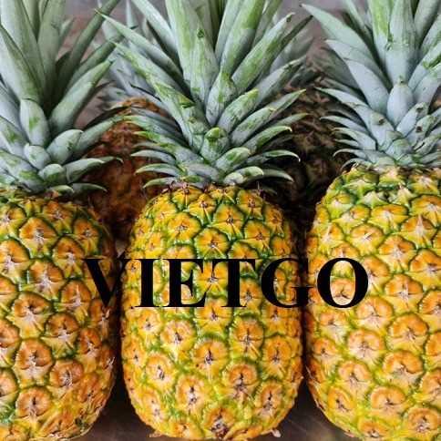 Thương vụ hợp tác xuất khẩu dứa sang thị trường Hàn Quốc