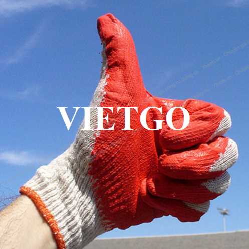 Cơ hội xuất khẩu găng tay lao động thị trường Mỹ và Canada