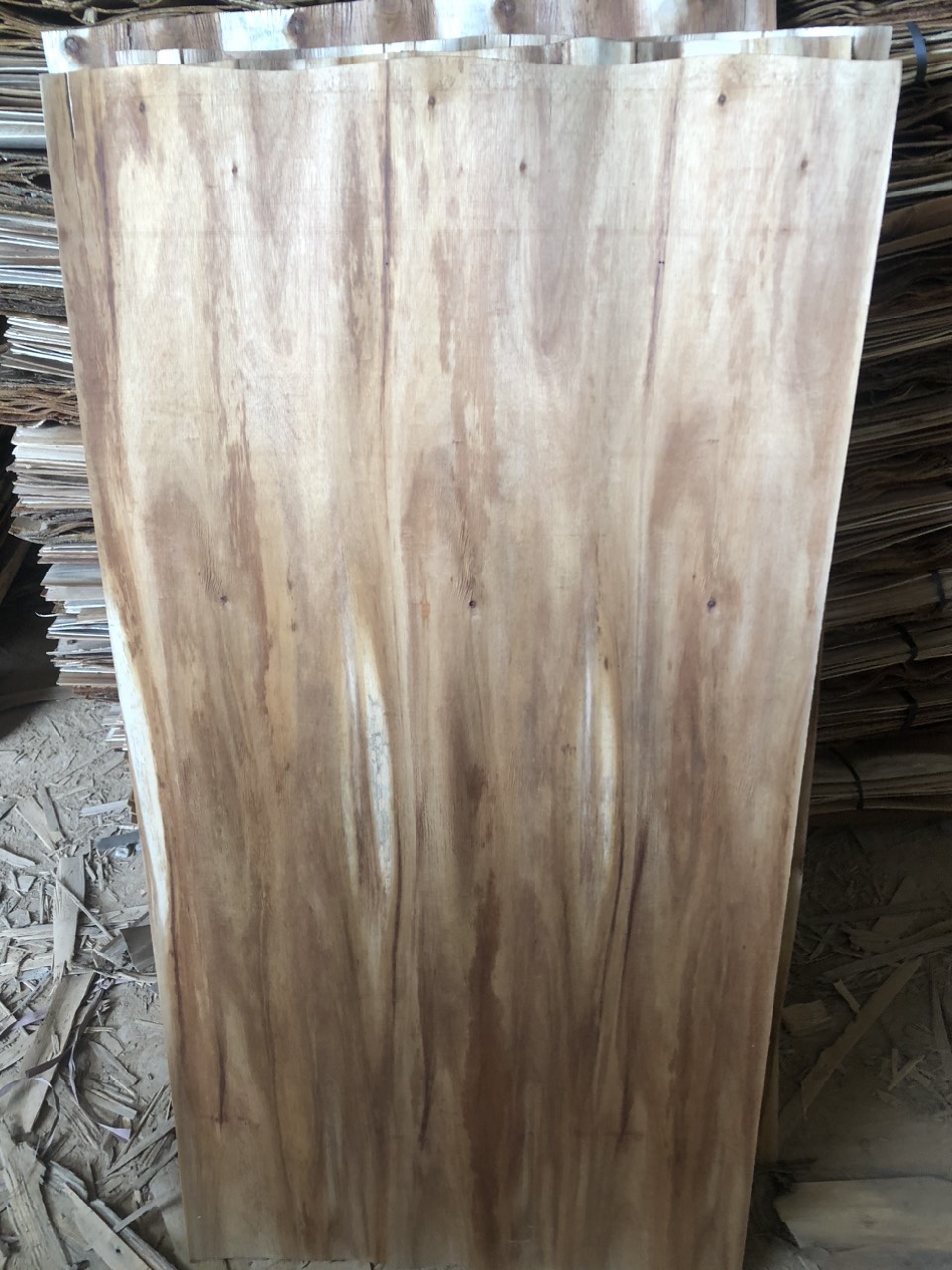 Công Ty Cổ Phần Luxxy Việt Nam cần tìm nhà vận tải hàng biển sang Ấn Độ