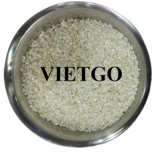 Cơ hội hợp tác xuất khẩu gạo đến thị trường Hà Lan