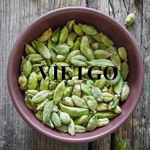Thương vụ hợp tác xuất khẩu thảo quả sang thị trường Ấn Độ 