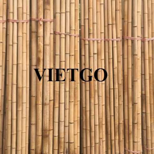 Cơ hội xuất khẩu gậy tre sang thị trường Ả Rập Xê Út