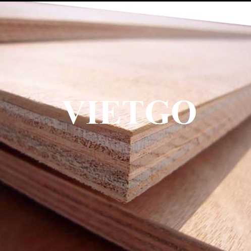 Thương vụ xuất khẩu gỗ dán sang thị trường Ấn Độ