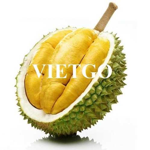 Thương vụ hợp tác xuất khẩu sầu riêng sang thị trường Trung Quốc