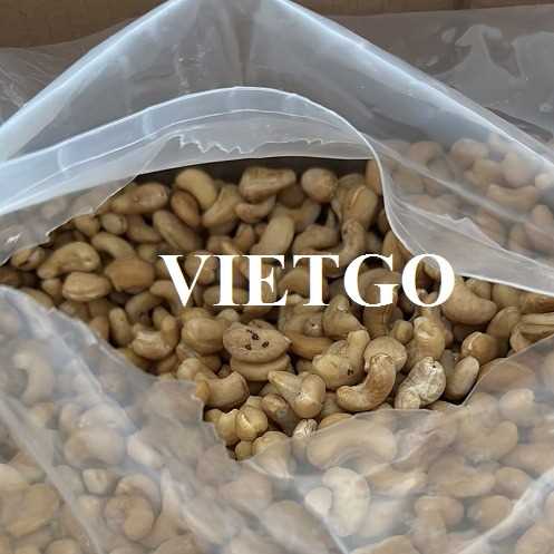 Cơ hội hợp tác xuất khẩu hạt điều đến thị trường Bỉ