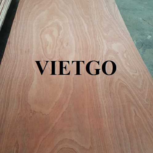 Thương vụ xuất khẩu gỗ dán sang thị trường Ấn Độ