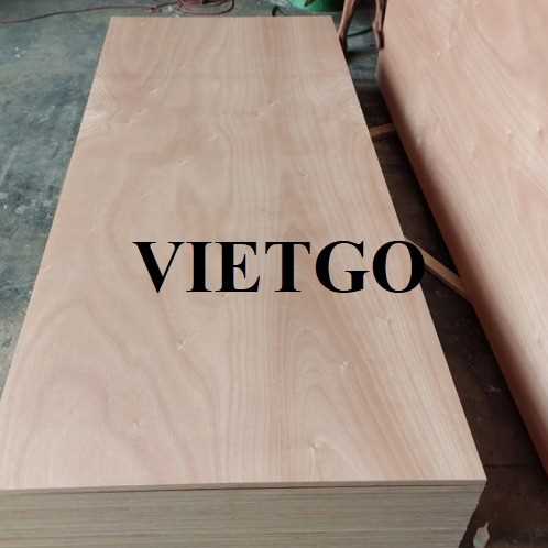 Thương vụ xuất khẩu gỗ dán sang thị trường Ấn Độ