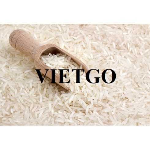 Cơ hội hợp tác xuất khẩu gạo đầy hấp dẫn sang thị trường Hoa Kỳ