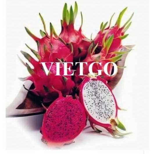 Cơ hội hợp tác xuất khẩu thanh long sang thị trường Trung Quốc