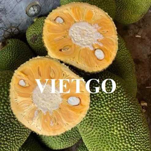Thương vụ hợp tác xuất khẩu mít sang thị trường Qatar 