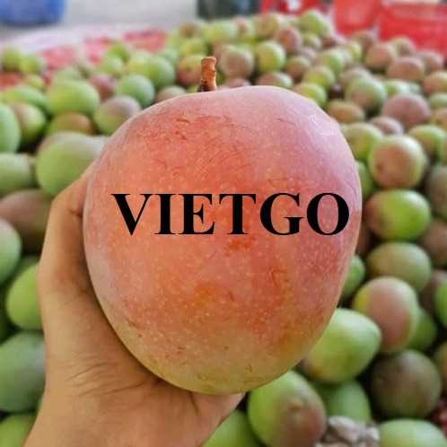 Cơ hội xuất khẩu xoài sang thị trường Mỹ