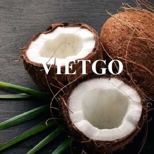 Cơ hội hợp tác xuất khẩu dừa đến thị trường UAE
