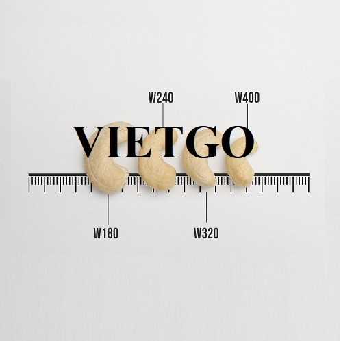 Cơ hội giao thương xuất khẩu hạt điều đến từ vị đại diện doanh nghiệp người Thổ Nhĩ Kỳ