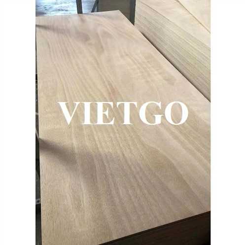 Thương vụ xuất khẩu gỗ dán sang thị trường Ấn Độ