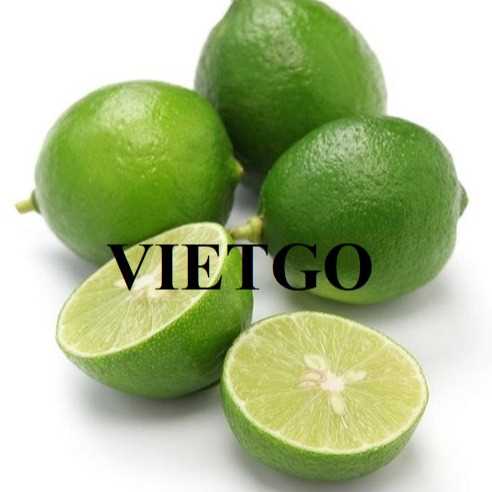Thương vụ hợp tác xuất khẩu chanh đến thị trường Hà Lan