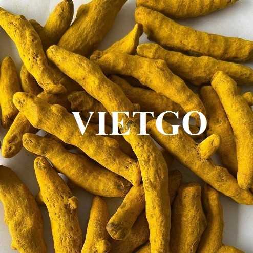 Thương vụ xuất khẩu nghệ sang thị trường Bangladesh