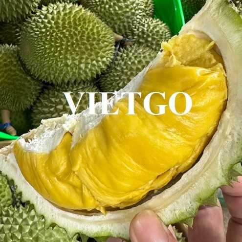 Cơ hội xuất khẩu sầu riêng sang thị trường Hồng Kông